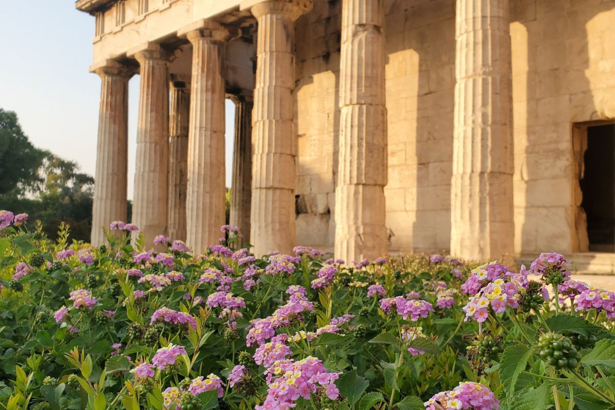 Wildflowers in bloom with the ancient columns of the Parthenon in the background, capturing the essence of Athens in spring.